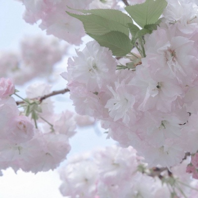 Furry数字绘画教程Furry群